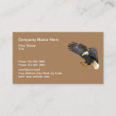 Recherche de aigle en vol cartes visite Faune