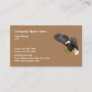 Recherche de aigle en vol cartes visite Faune