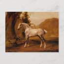 Recherche de george stubbs cartes postales Animal