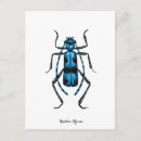 Recherche de animal réaliste cartes postales Illustration