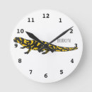 Recherche de salamandres horloges Pour tous
