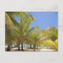 Recherche de chaises cartes postales Station