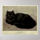 Recherche de velu posters Chat