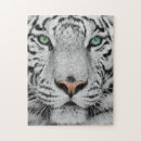 Recherche de tigre blanc puzzles Animaux sauvages