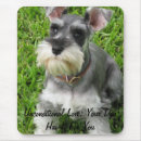 Recherche de mini schnauzer Amusant