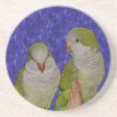 Recherche de oiseau de bébé bar Mère