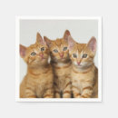 Recherche de chaton mignon serviettes Amoureux de les chats