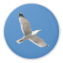 Recherche de volant boutons et poignées de porte Blanc