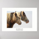 Recherche de photo sauvage posters Photographe