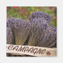 Recherche de parfums magnets Voyage