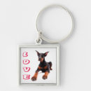 Recherche de pinscher dobermann porteclés Chiens