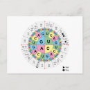 Recherche de amino acids posters Génétique