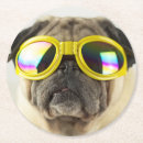 Recherche de carlins dessous de verres Chiot