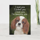 Recherche de cavalier king charles spaniel vœux cartes Amoureux des chiens