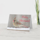 Recherche de cardinale noël cartes Oiseau d'hiver
