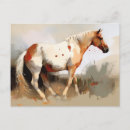 Recherche de cheval pinto cartes postales Mustang