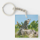 Recherche de iguane porteclés Animal