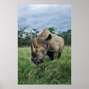 Recherche de rhinocéros noir posters Kenya