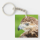 Recherche de observation des oiseaux porteclés Animal