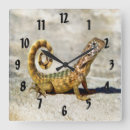 Recherche de lézard horloges Nature