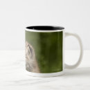 Recherche de lyn tasses Faune