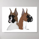 Recherche de boxeur art Chien