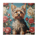 Recherche de portrait carreaux Botanique