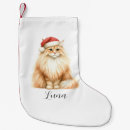 Recherche de peinture chat de chaussette de noël Aquarelle