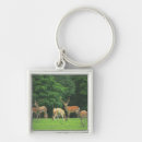 Recherche de andouillers porteclés Forêt