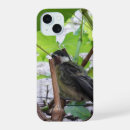 Recherche de mésange iphone coques Faune