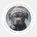 Recherche de pit autocollants Mignon