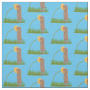 Recherche de marmotte loisirs créatifs Illustration