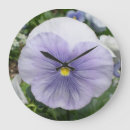 Recherche de violettes horloges Jardin