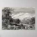 Recherche de oliviers posters Colline