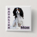 Recherche de cavalier badges Chien