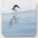 Recherche de pingouin dessous de verres Animal