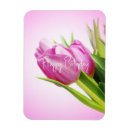 Recherche de tulipes roses magnets Fleur