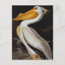 Recherche de john james audubon cartes postales Granger