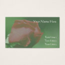 Recherche de soleil rouge cartes visite Floral