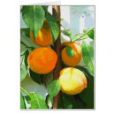 Recherche de arbres fruitiers vœux cartes Pêche