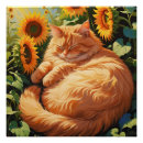 Recherche de bêtes posters Chat drôle