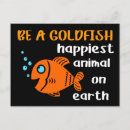 Recherche de poisson rouge drôle cartes postales Animal
