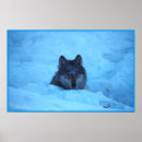 Recherche de bois de construction posters Loups
