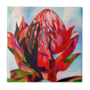 Recherche de indigène carreaux Australie