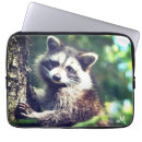Recherche de ratons laveurs macbook housses Animal