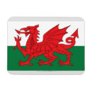 Recherche de drapeau du pays de galles magnets Baleines