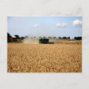Recherche de vie de pays cartes postales Campagne
