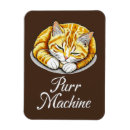 Recherche de dormant magnets Chat