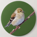 Recherche de chardonneret badges Jaune