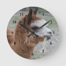 Recherche de alpaga horloges Animal